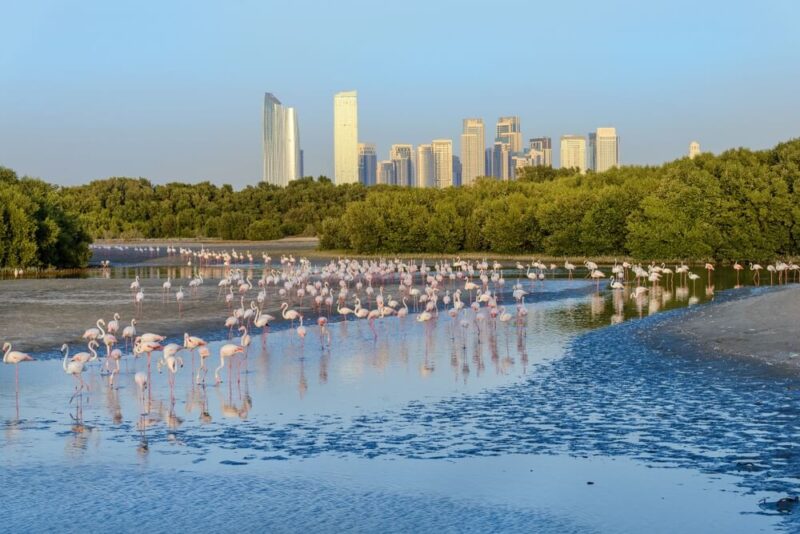 Dubai property investment for foreigners